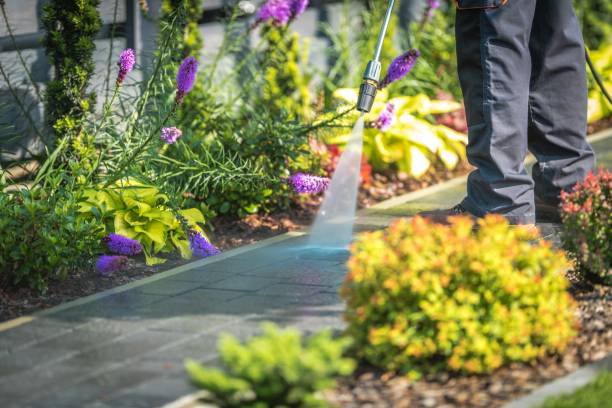 Professional  Pressure Washing Services in Powell, AL